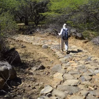 Diagnostico de Caminos de Santander – 2022