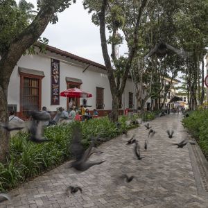 Plan de Revitalización del Espacio Público del Centro de Bucaramanga (PREP)