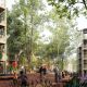 NNB_IMAGEN_AGRUPACION_VIVIENDA