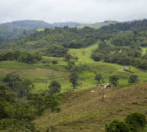 SCA Santander - Avalúos de Recursos Naturales y Suelos de Protección